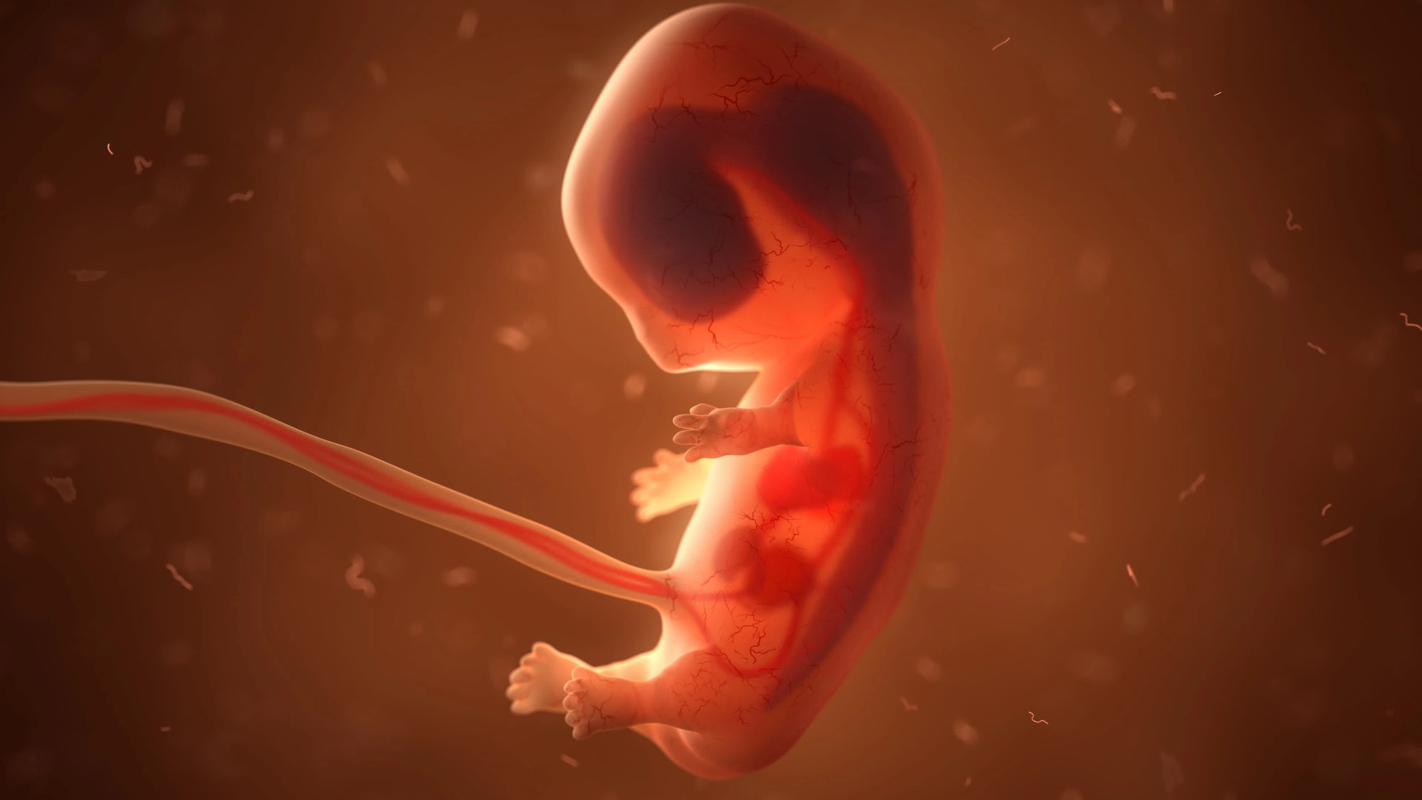 Majú DNA troch ľudí: Prelomová metóda priniesla prvé deti, no budú naozaj zdravé?