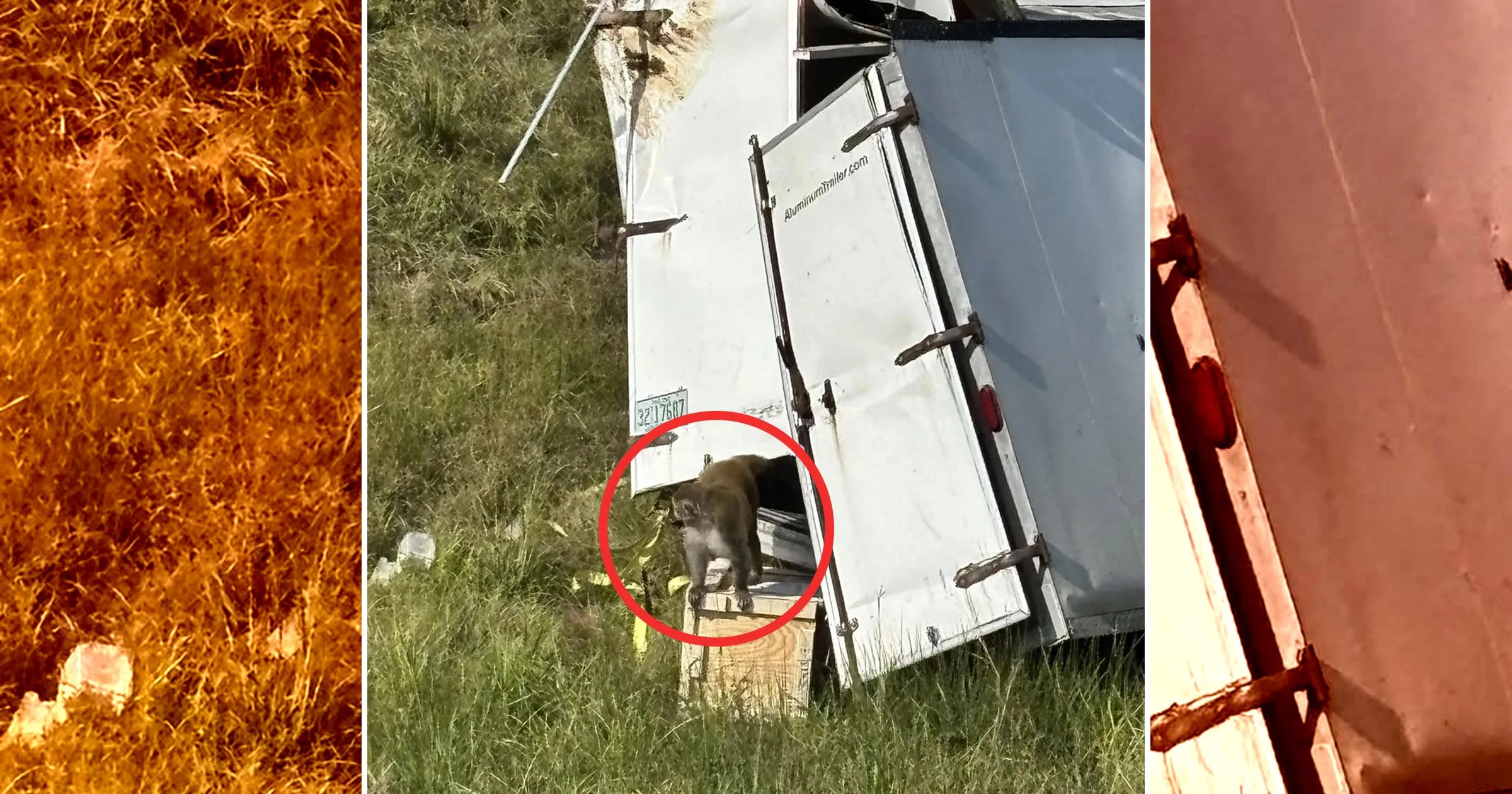 ÚTEK opíc v Mississippi: Povráva sa o infekciách aj nebezpečenstve, poslednú z nich hľadajú v divočine