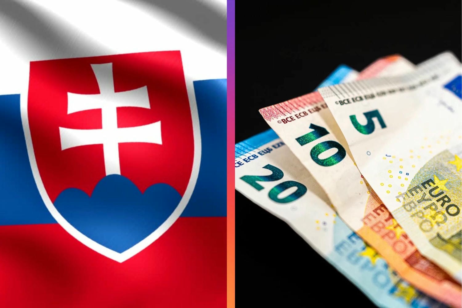 Štát nakúpi nové koterce pre policajné psy: Každý za 4100 eur, opozícia hovorí o plytvaní peniazmi